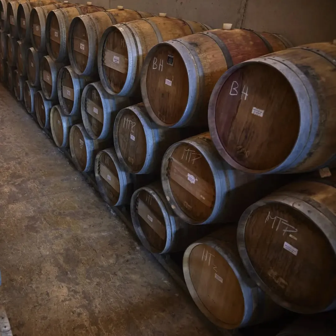 279261079_509935793800580_7043763115745966244_n