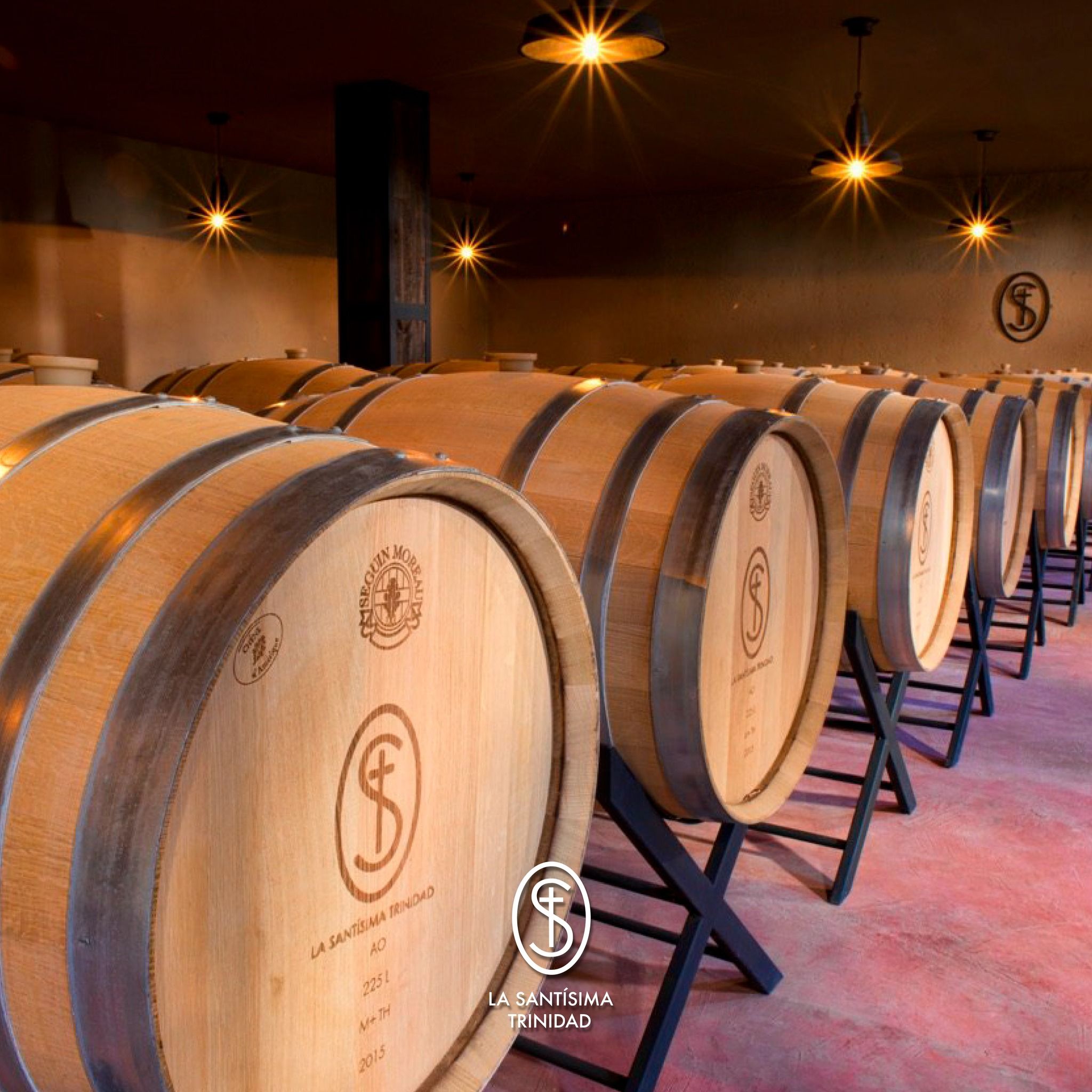 482064528_964348005812619_8589447733782709873_n