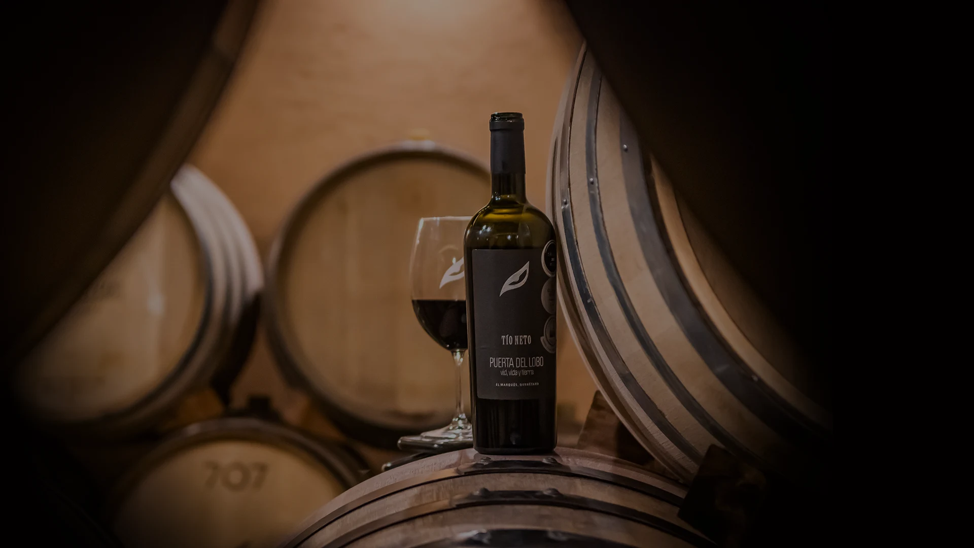 pdl-wineclub-1920S-03