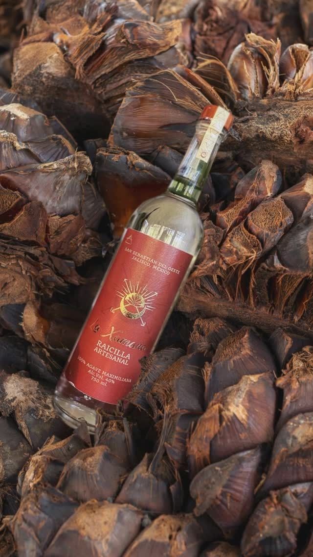 imgi_39_476488686_952130003770828_6589261896598569262_n